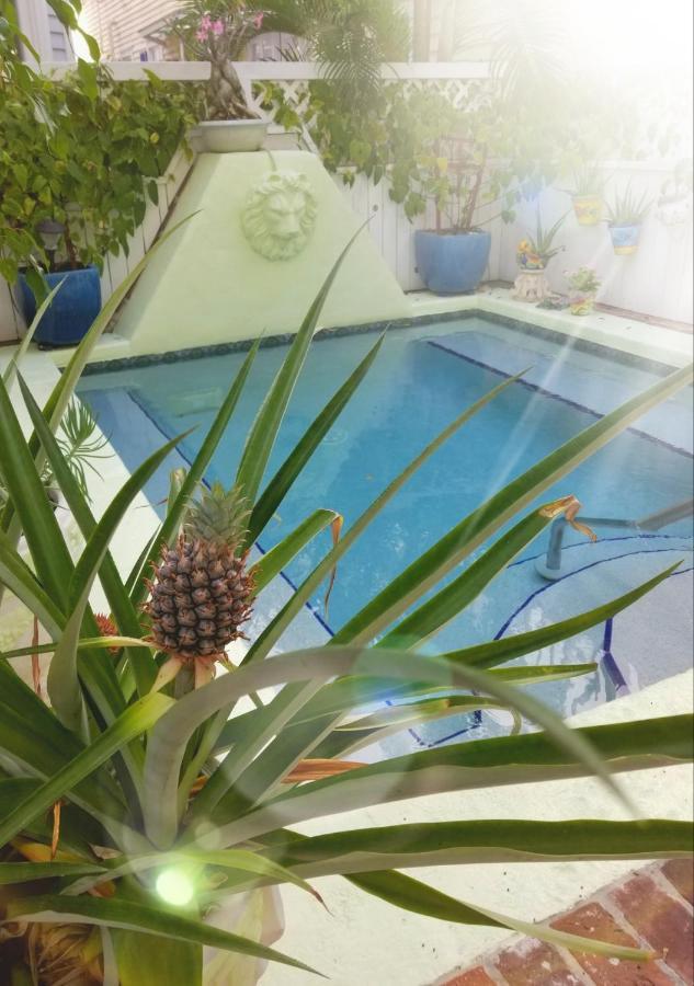The Artist House Bed & Breakfast Key West Eksteriør bilde
