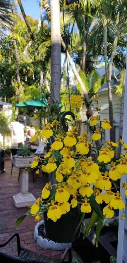 The Artist House Bed & Breakfast Key West Eksteriør bilde
